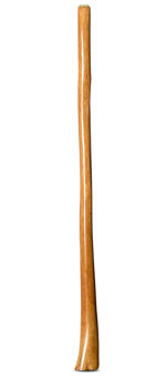 Gloss Finish Didgeridoo (TW847)